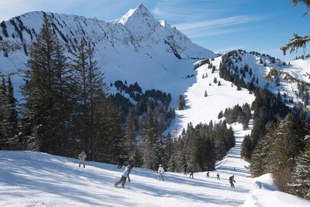 Les Cimes, Chaleureux Studio 4 Pers, 50M Du Telecabine, Vue Degagee Sur Les Pistes, Draps Non Compris Saint-Jean-dʼAulps Zewnętrze zdjęcie