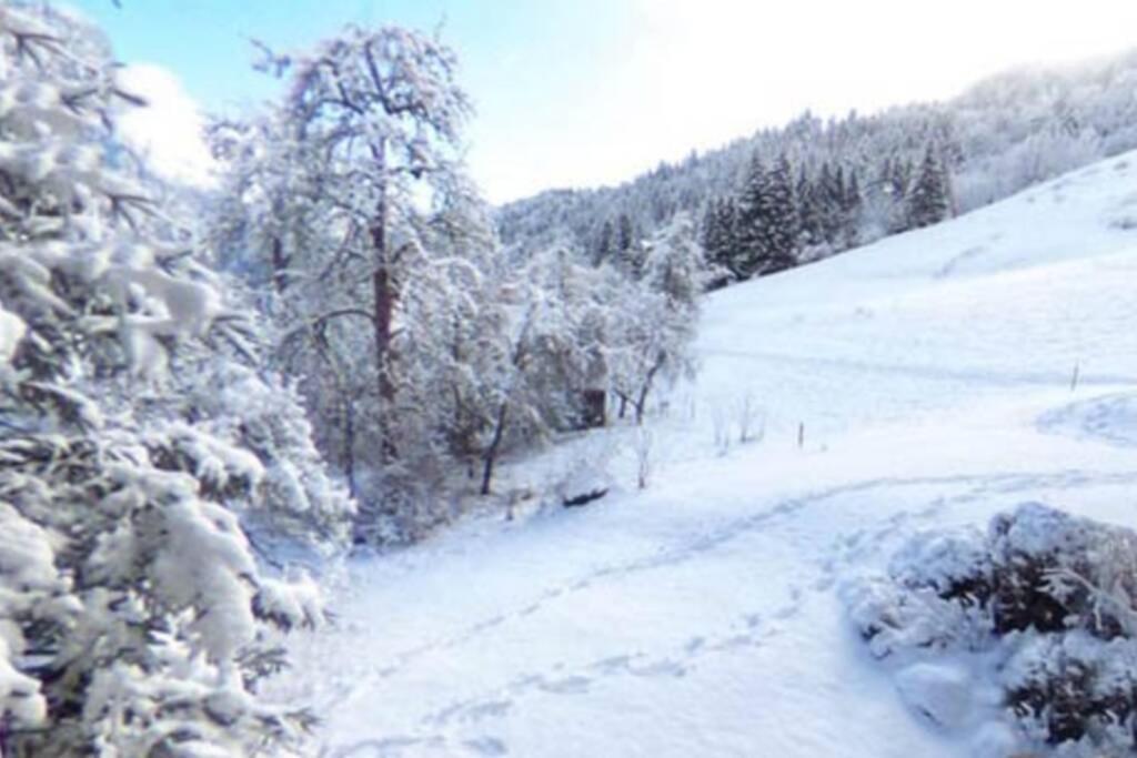 Les Cimes, Chaleureux Studio 4 Pers, 50M Du Telecabine, Vue Degagee Sur Les Pistes, Draps Non Compris Saint-Jean-dʼAulps Zewnętrze zdjęcie