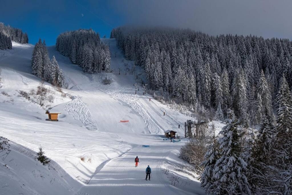 Les Cimes, Chaleureux Studio 4 Pers, 50M Du Telecabine, Vue Degagee Sur Les Pistes, Draps Non Compris Saint-Jean-dʼAulps Zewnętrze zdjęcie